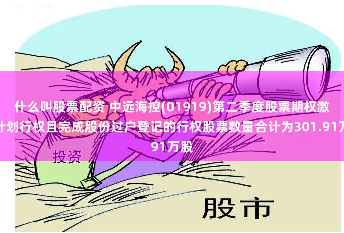 什么叫股票配资 中远海控(01919)第二季度股票期权激励计划行权且完成股份过户登记的行权股票数量合计为301.91万股